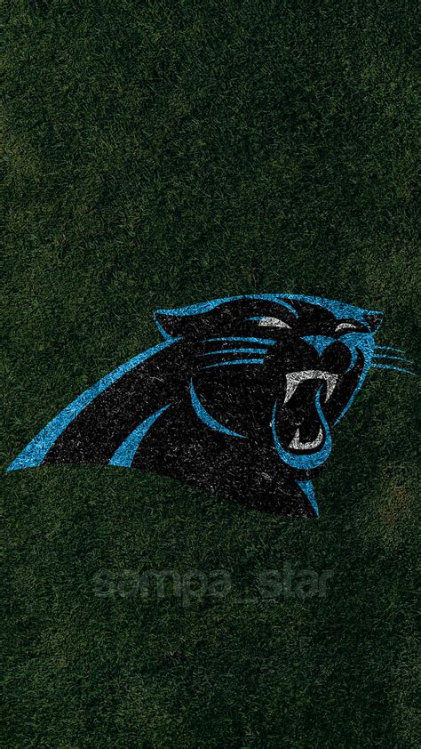 Panthers Carolina Nfl Football Hd Phone Wallpaper Peakpx