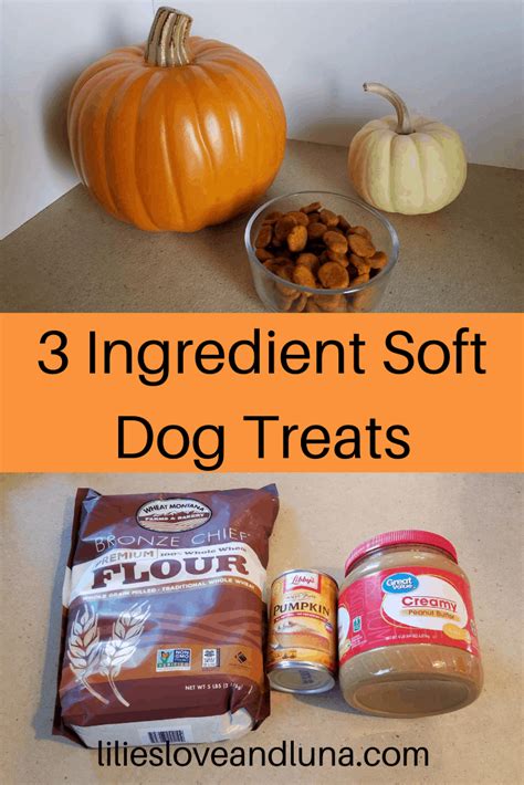 Soft Peanut Butter And Pumpkin Dog Treats Lilies Love And Luna