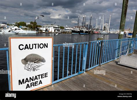Warning Sign Manatee Area In Waterways Attarpon Springs Florida Usa