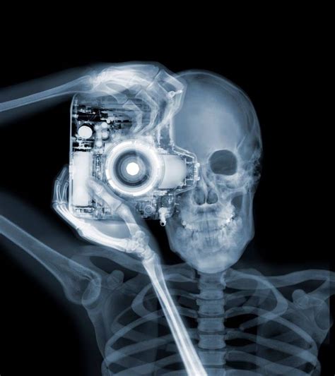A Look At The Creative Work Of X Ray Photographer Nick Veasey Xray