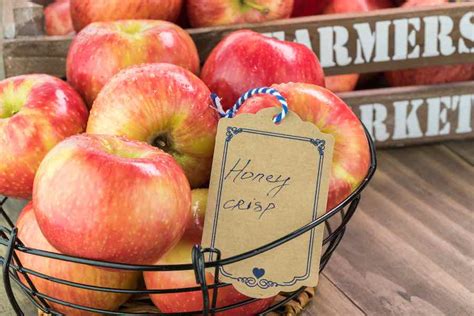 Kiku Apples The Elevated Fuji Minneopa Orchards