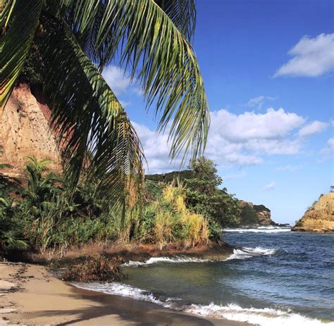 Total and new cases, deaths per day, mortality and recovery rates, current active cases, recoveries, trends and timeline. Karibikinsel Dominica: Leere Strände und warme ...