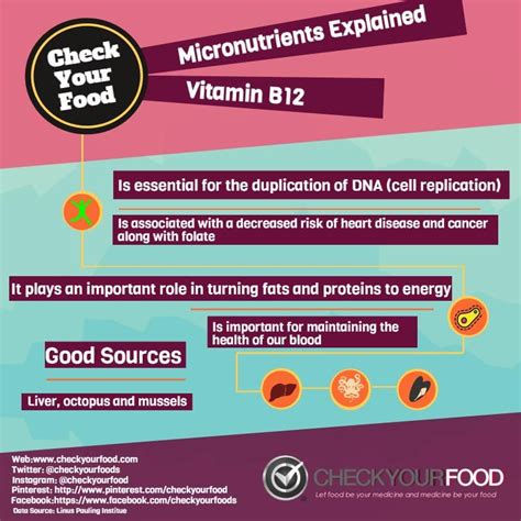 The Health Benefits Of Vitamin B12 Check Your Food Macronutrients