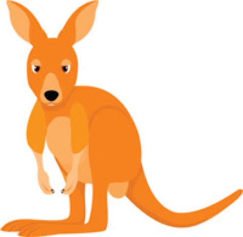 Download High Quality Kangaroo Clipart Animated Transparent Png Images