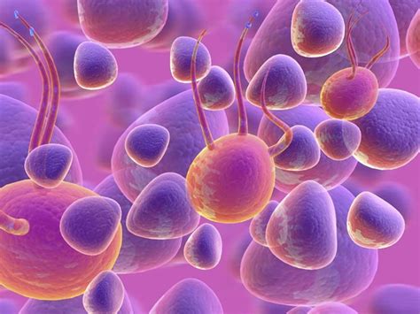 We did not find results for: animal cells under a microscope | Under the microscope ...