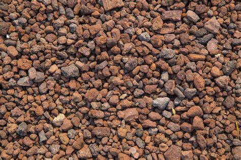 A Beginners Guide To Lava Rock Landscaping Shrubhub