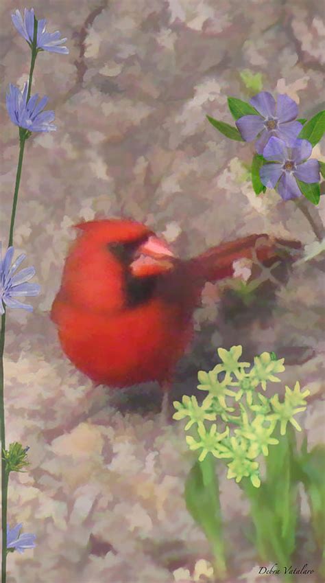 Cardinal Springtime Painting By Debra Vatalaro Fine Art America