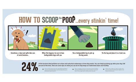Mde Scoop The Poop Campaign On Behance