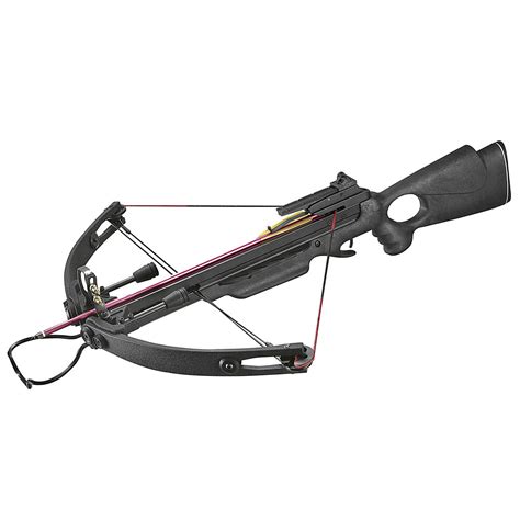 Wir unterstützen sie beim kauf und verkauf von immobilien und helfen ihnen von „a wie abwicklung bis „z wie zahlung. MK Compound Armbrust 150 lbs Schwarz günstig kaufen ...