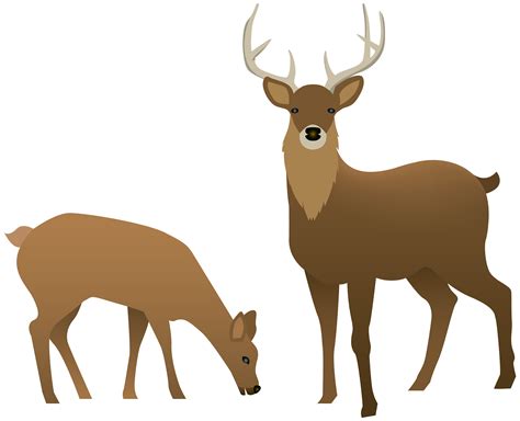 Reindeer Clip Art Stag And Doe Transparent Png Image Png Download