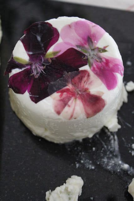 Goat Cheese With Edible Flowers Flower Food Edible Flowers Food