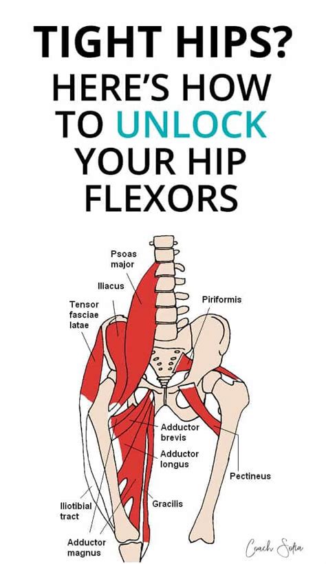 Heres A Video Tutorial To Show You How To Effectively Release Your Hip Flexors Including The