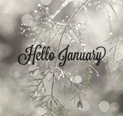 Hello January | Hello january, Beauty blogger, January