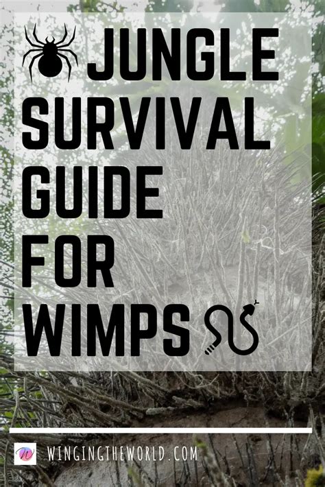 The Ultimate Amazon Rainforest Survival Guide For Wimps
