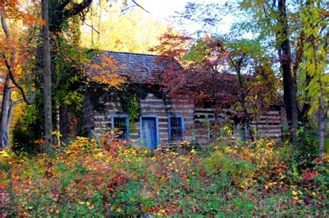 Abandoned Cabin Shutterbug