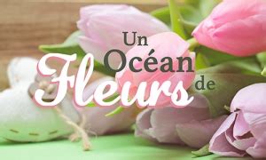 Dromadaire Carte Anniversaire Gratuit