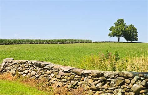 New England Stone Wall Stock Photos Pictures And Royalty Free Images