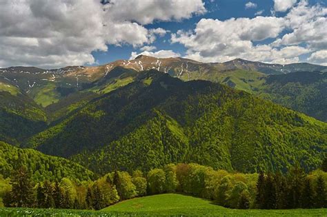 The Carpathian Mountains The Wildest Area In Romania