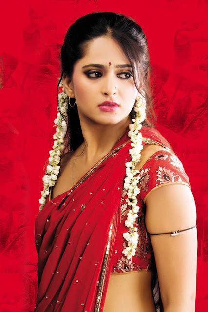 designer saree bollywood saree bridal saree actress anushka shetty in red saree stills