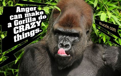 Facts About Gorillas That Are Totally Dumbfounding Gorilla Facts