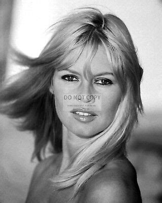 Brigitte Bardot Legendary French Actress And Sex Symbol X Photo
