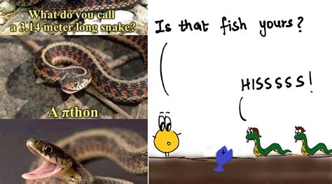 On World Snake Day 2021 These Silly Snake Puns And Riddles Will Make