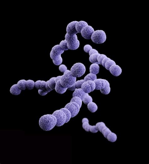 Hong Kong Reports Surge In Invasive Group B Streptococcus Outbreak News Today