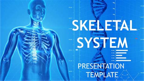 Skeletal System Powerpoint Template Free Free Printable Templates