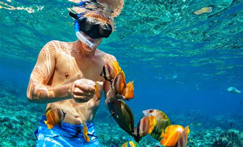 Nassau Snorkeling Adventure And Boating Half Day Cruise Tour