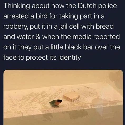 Dutch Police 9gag