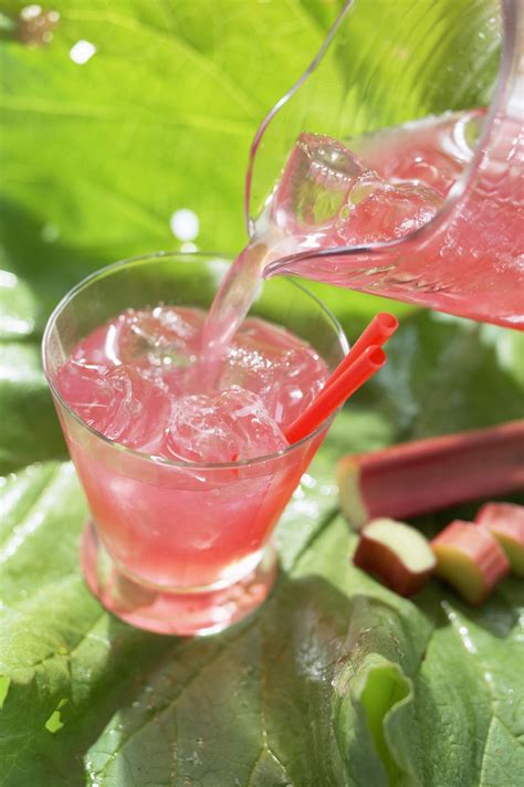 Polish Rhubarb Honey Drink Recipe