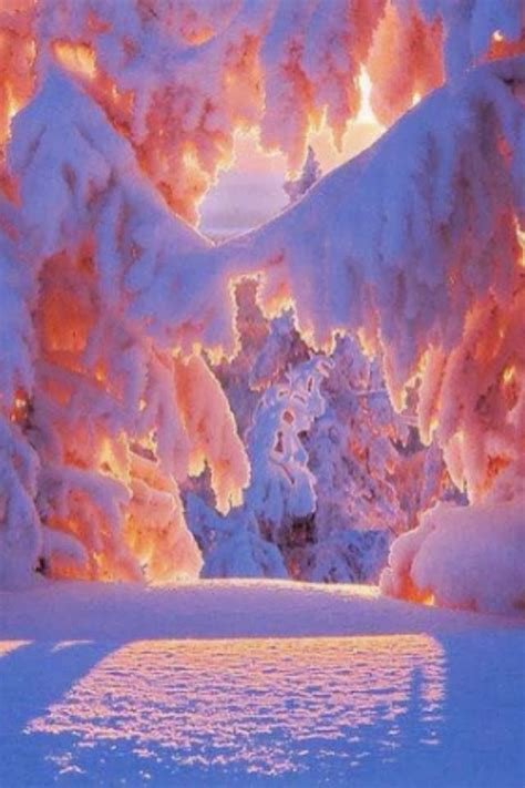 Winter Sunrise Winter Wonderland Pinterest