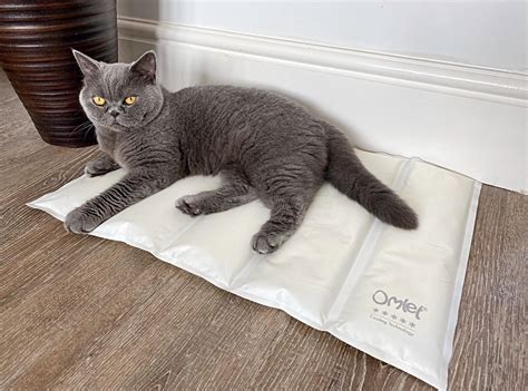 Omlet Cooling Mat For Cats Small Grey And Cream Omlet