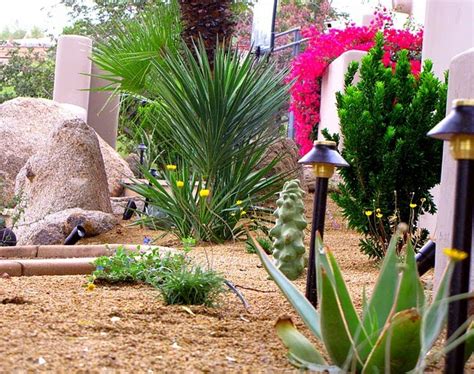 Arizona Landscaping Vibrant Desert Landscape Design