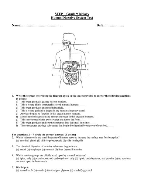 Digestive System Exam Room Anatomy Posters Clinicalpo