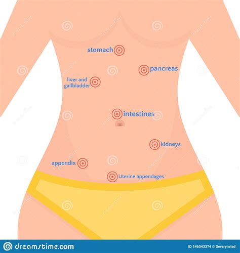 Types Of Abdominal Pain In Women Location Of Bali In The