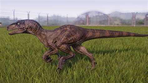 Velociraptor Jurassic World Evolution Wiki Fandom In 2022 Jurassic World Dinosaurs
