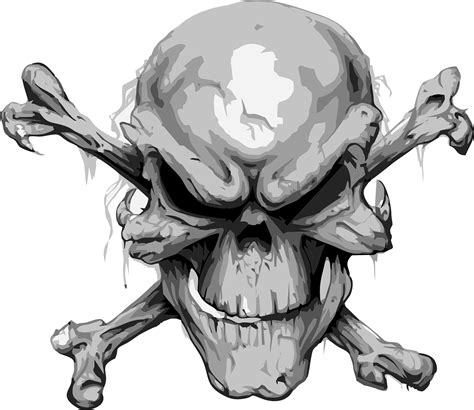 Vector Skull Graphic Behance