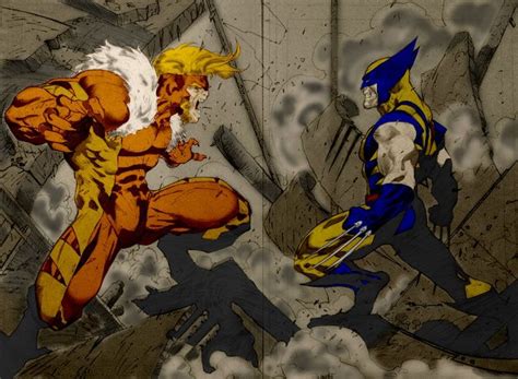 Wolverine Vs Sabretooth By Wolverine22 On Deviantart