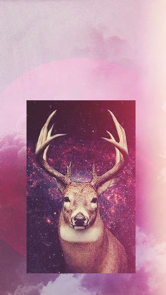 Space Deer 338x600 Download Hd Wallpaper Wallpapertip