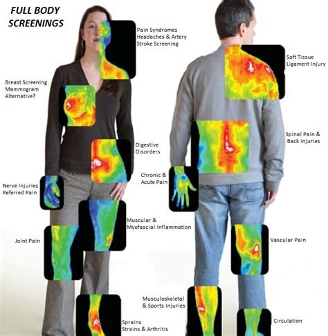 Breast Thermography And Full Body Scan Imaging Permen Naturopathic