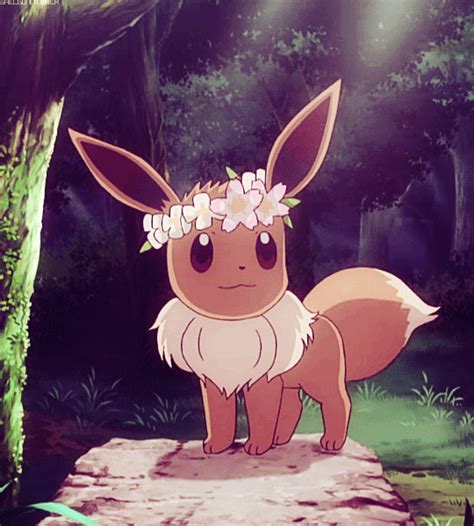 Cuteness Overload The Best Eevee Cute Pokemon  Animations To Watch
