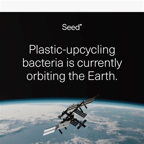 We Sent Plastic Eating Microbes Into Space Seed