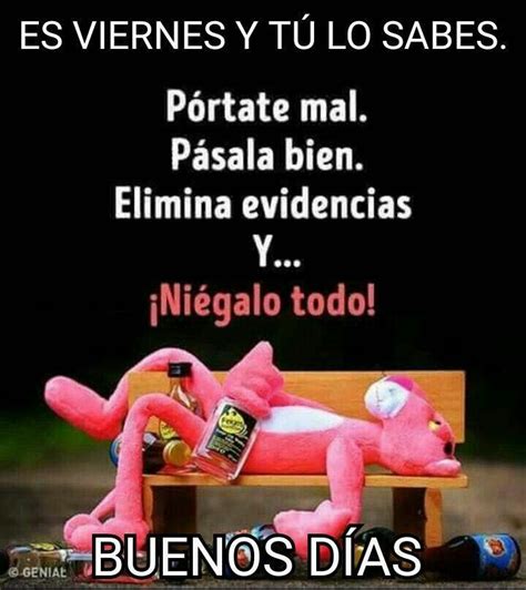 Así Me Siento Ja Ja Ja Feliz Viernes Frases Feliz Viernes Gracioso