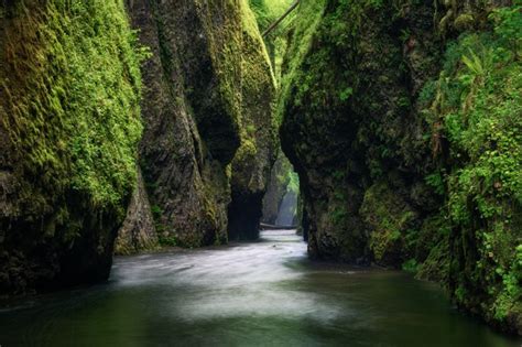 Emerald Canyon Oneonta Gorge Oneonta Places To See