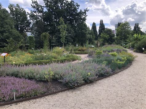 Tuinbezoek Botanische Tuinen Utrecht Max Vandaag