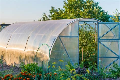 Polytunnels Introduction To Poly Tunnels Benefits Guide