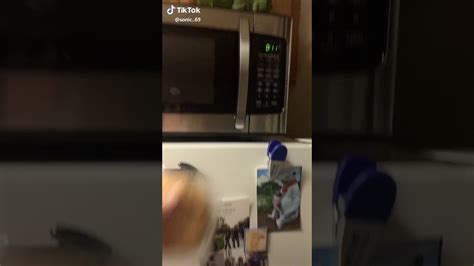 Microwave Cat Tik Tok Youtube