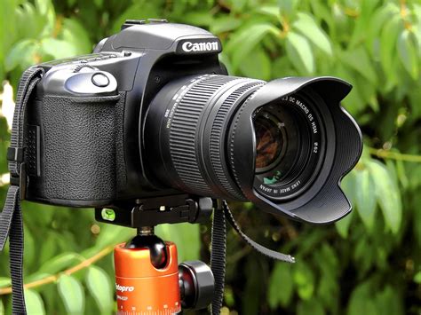 Top 10 Digital Slr Cameras Digital Slr Camera For Beginners Dynamic