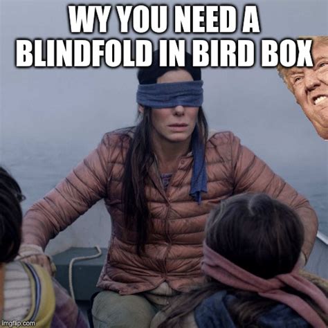 bird box meme imgflip